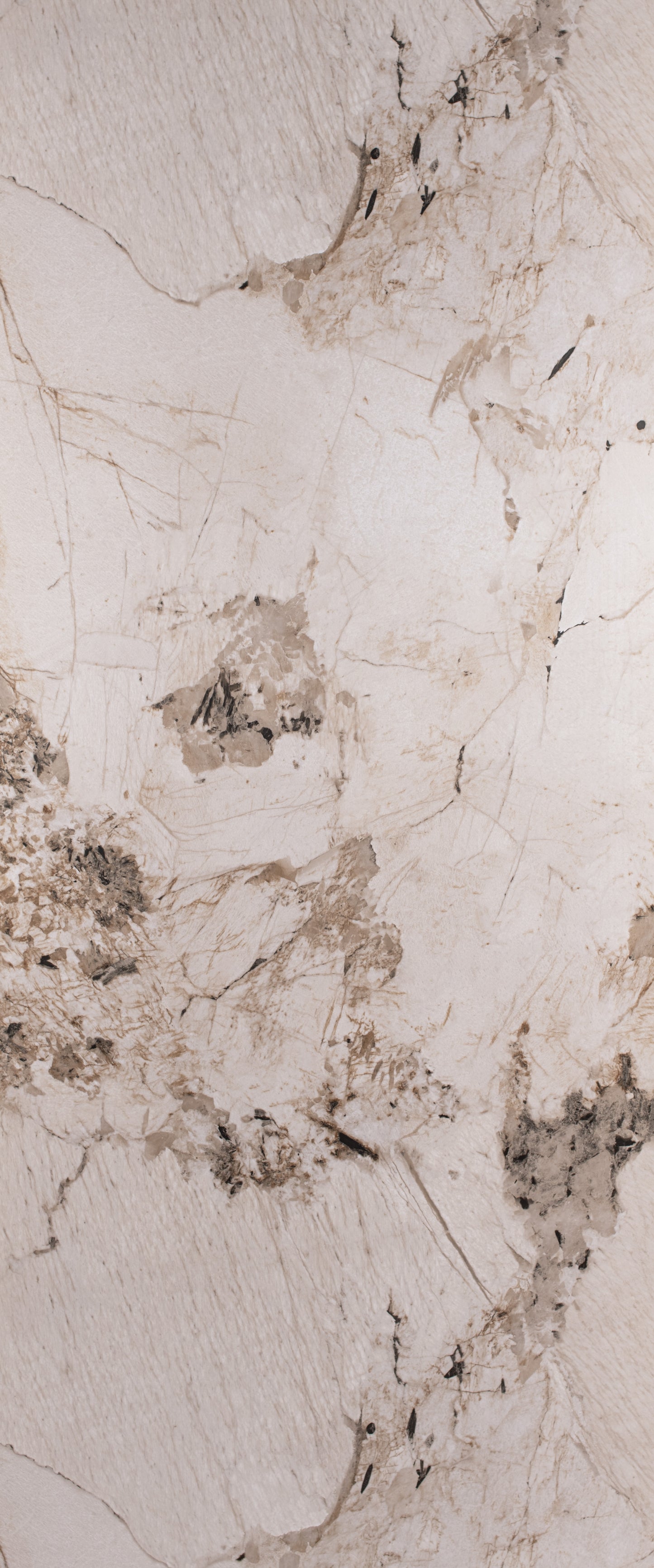 1m x 2.4m Pandora Beige